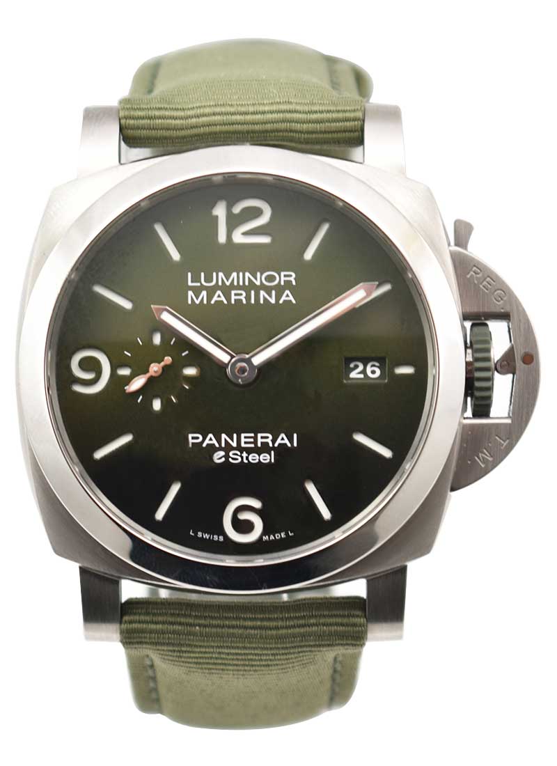 PAM01356