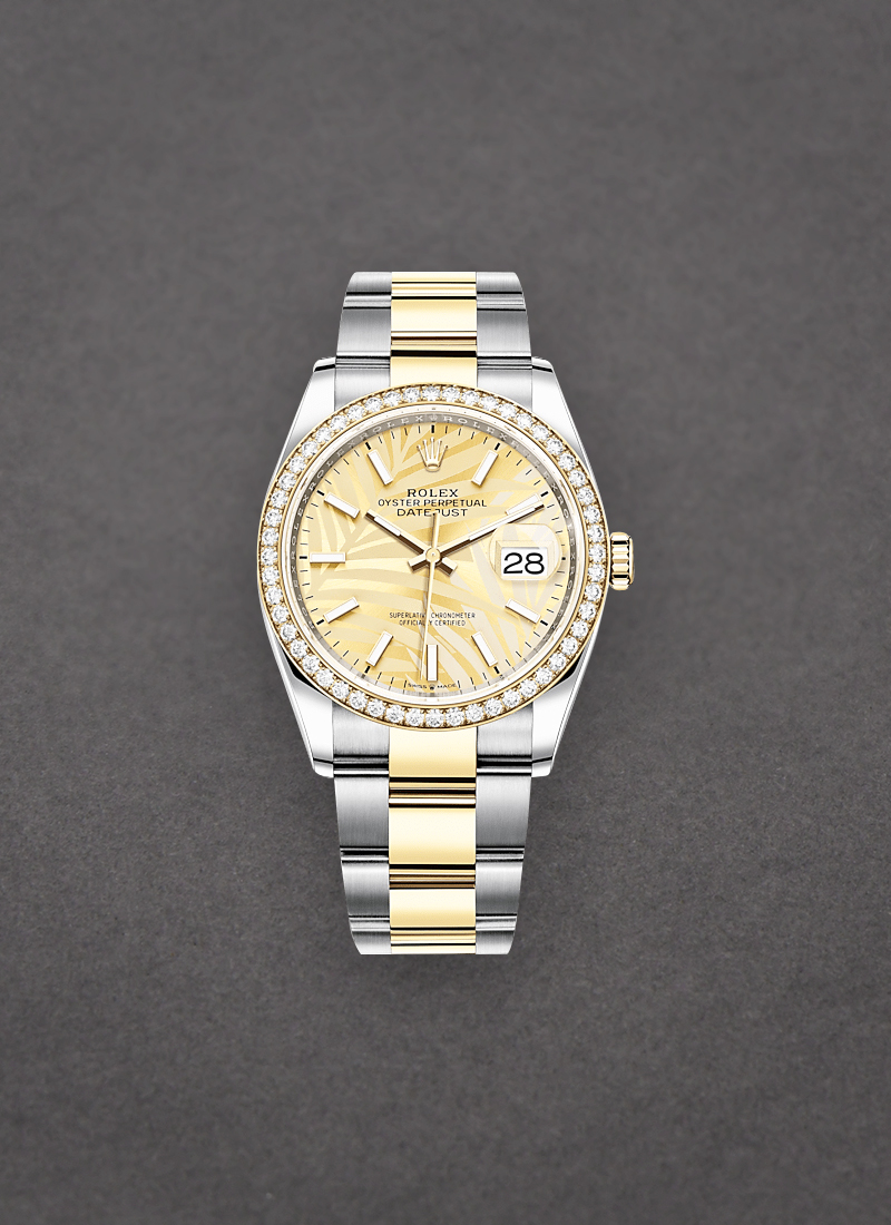 Rolex Unworn Datejust 36mm in Steel with Yellow Gold Diamond Bezel