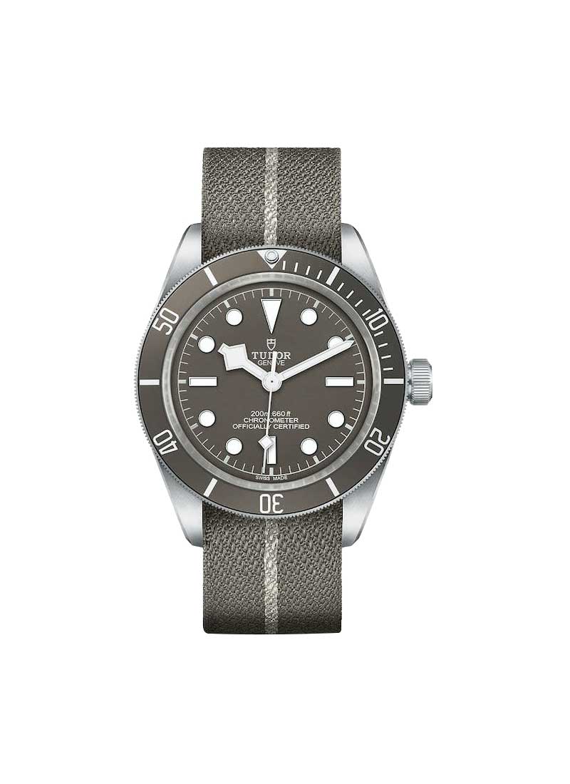 Tudor Black Bay Fifty-Eight in Silver Case with Taupe Bezel