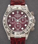 Daytona 40mm in White Gold On Burgandy Crocodile Leather Strap with Grossular Diamond Dial