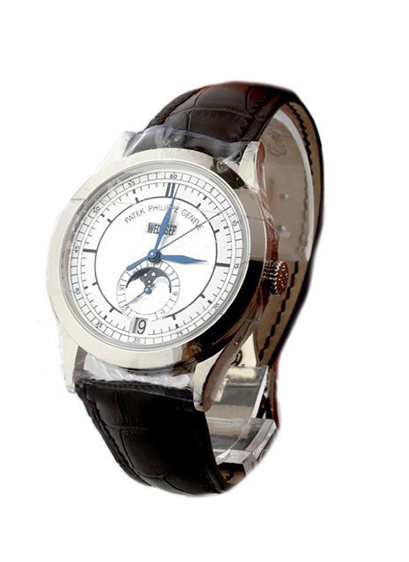 5396G Annual Calendar with Moon Phase in White Gold on Brown Crocodile Leather Strap with Silver Dial 5396 G