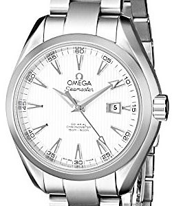 Aqua Terra Automatic 34mm Men's Automatic in Steel Steel on Bracelet  with White Dial