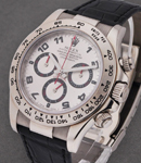 Daytona in White Gold - circa 2008   on Black Crocodile Leather Strap with White Arabic Dial