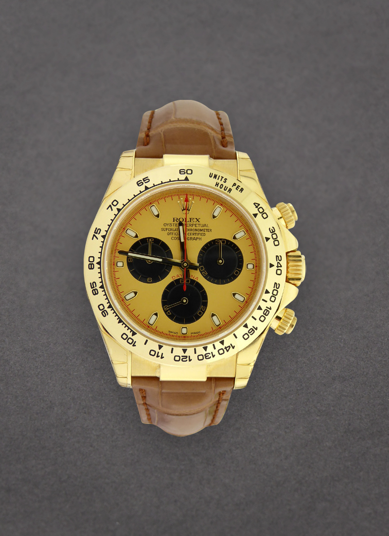 Pre-Owned Rolex Daytona in Yellow Gold